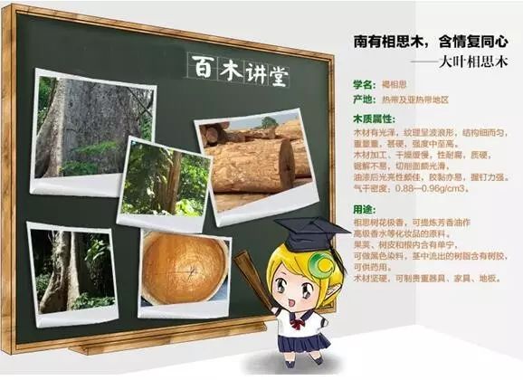 哪里有生產(chǎn)木板的廠(chǎng)家_上臣地板和大自然地板_大自然木地板生產(chǎn)廠(chǎng)家