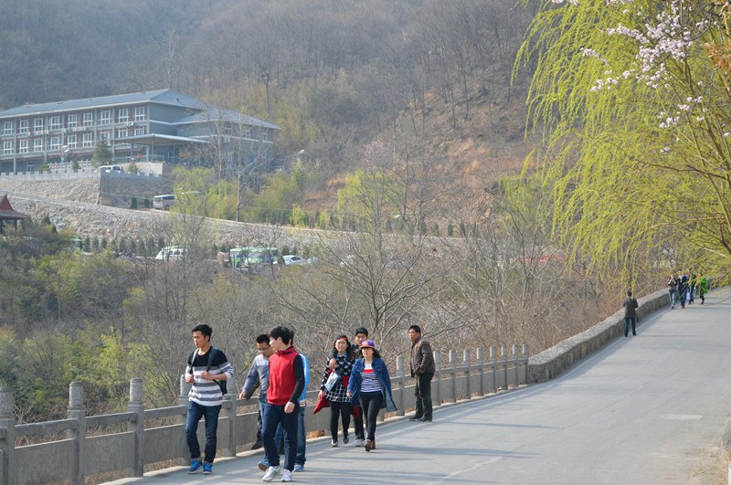 新乡南太行八里沟景区赏春图