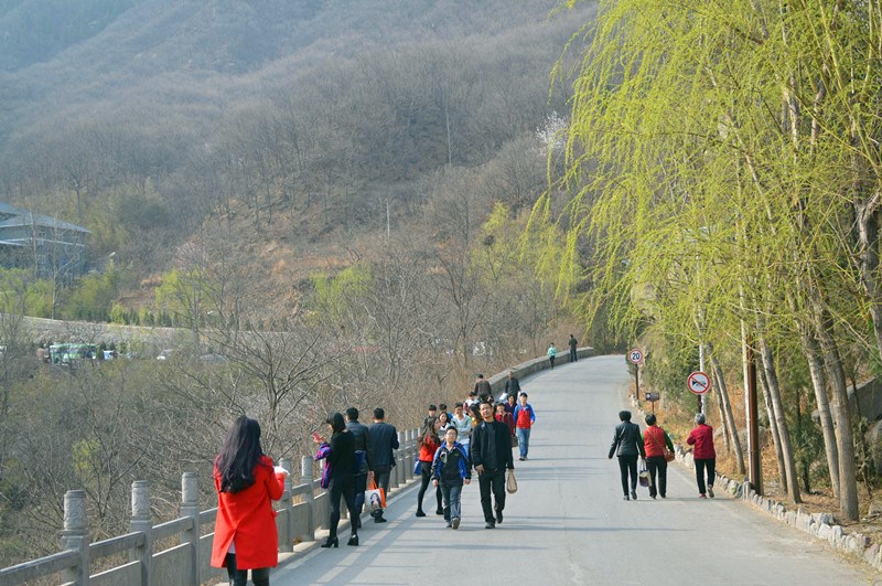 新乡南太行八里沟景区赏春图