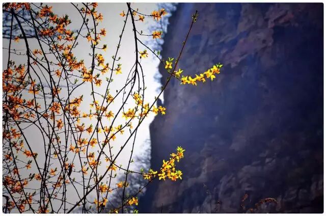 烂漫关山，三八节不可错过的视觉盛宴