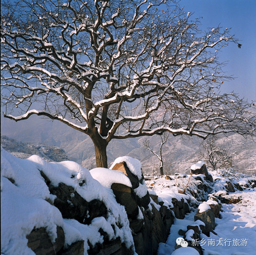 奥运冠军李小鹏来万仙山拍摄环球竞速真人秀《极速前进》