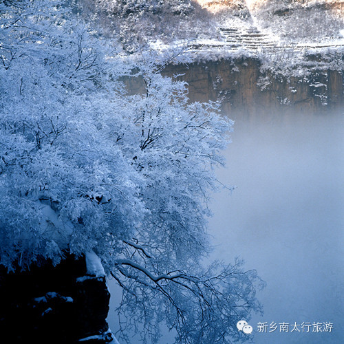 奥运冠军李小鹏来万仙山拍摄环球竞速真人秀《极速前进》