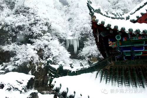 奥运冠军李小鹏来万仙山拍摄环球竞速真人秀《极速前进》