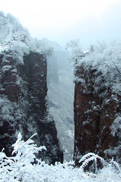 奥运冠军李小鹏来万仙山拍摄环球竞速真人秀《极速前进》