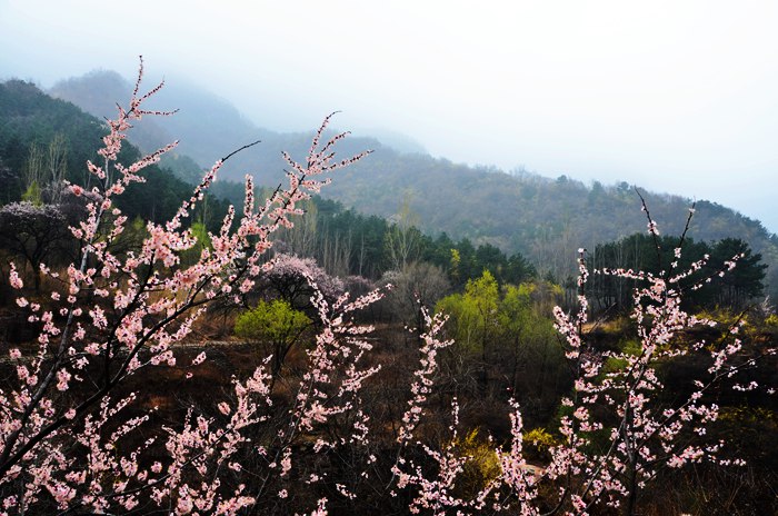 清明时节雨纷纷 南太行旅游请放心