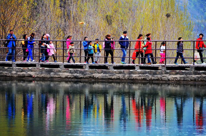 随心而定 醉在南太行年卡的“任性里”