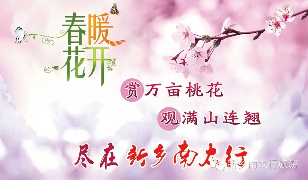 春天，就要在这花花世界里翩跹！