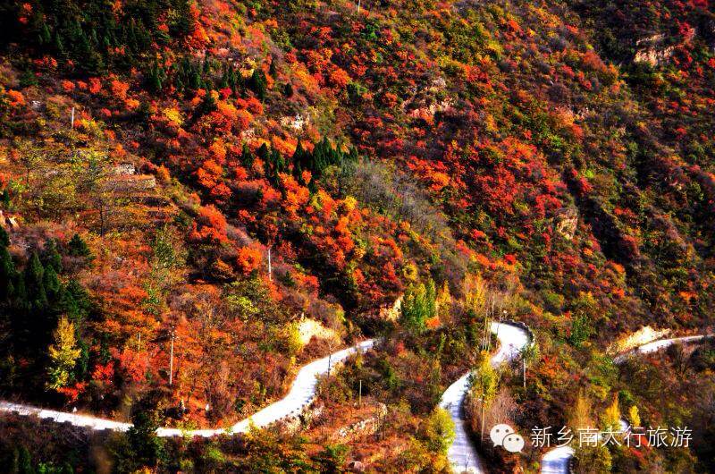 【疯狂11.11】“旅行中寻找艳遇”