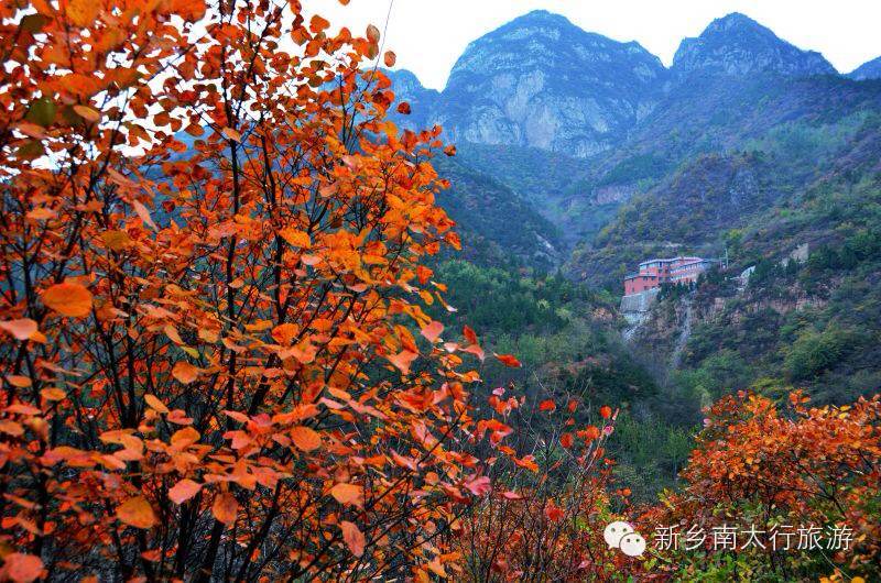 【疯狂11.11】“旅行中寻找艳遇”