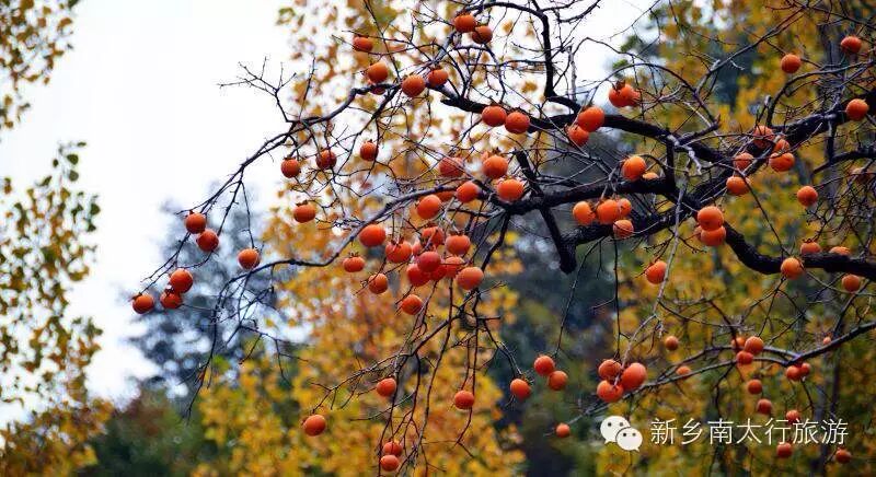 【疯狂11.11】“旅行中寻找艳遇”