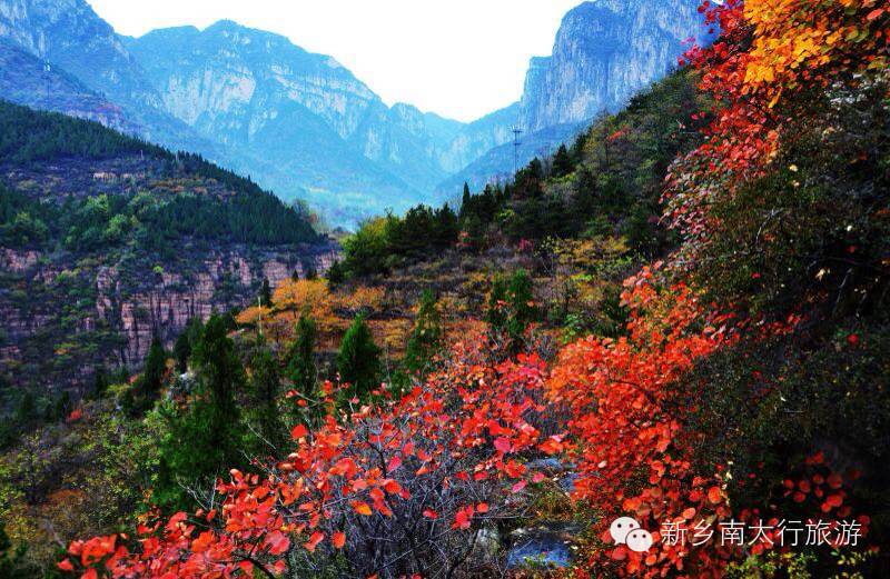 【疯狂11.11】“旅行中寻找艳遇”