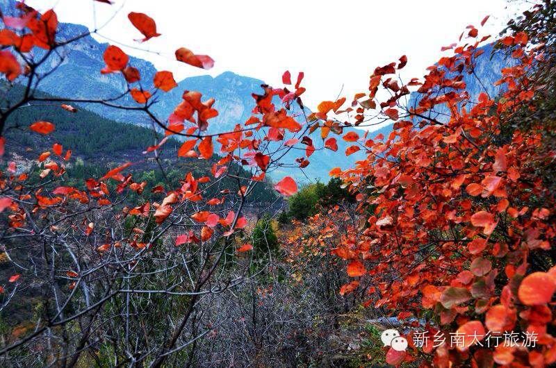 【疯狂11.11】“旅行中寻找艳遇”