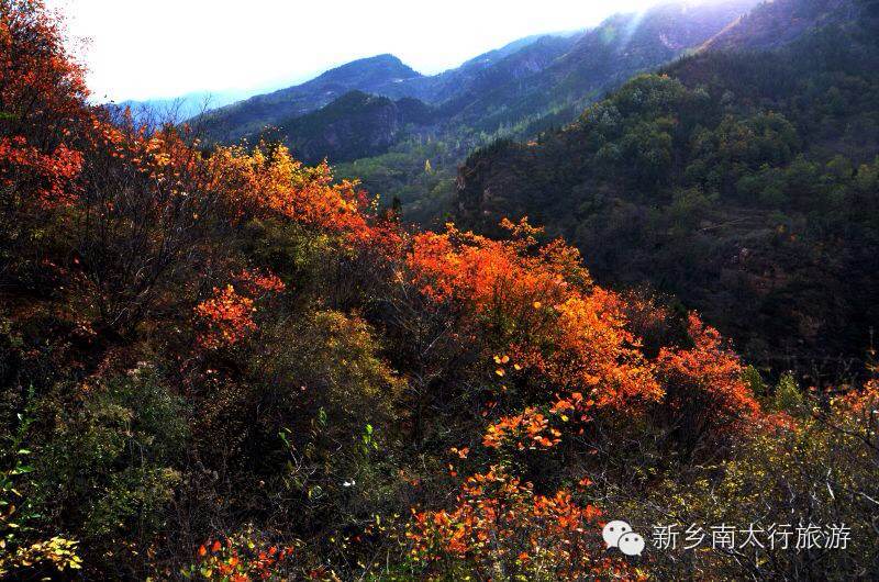 【疯狂11.11】“旅行中寻找艳遇”