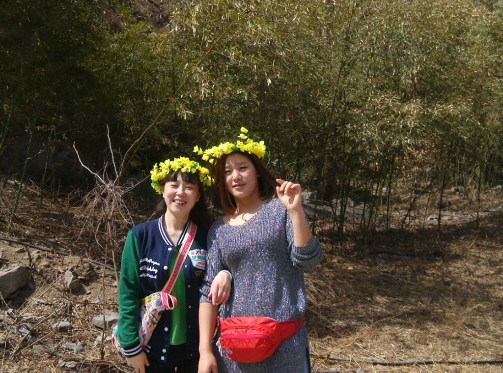 关山连翘黄花节迎来首个小高峰