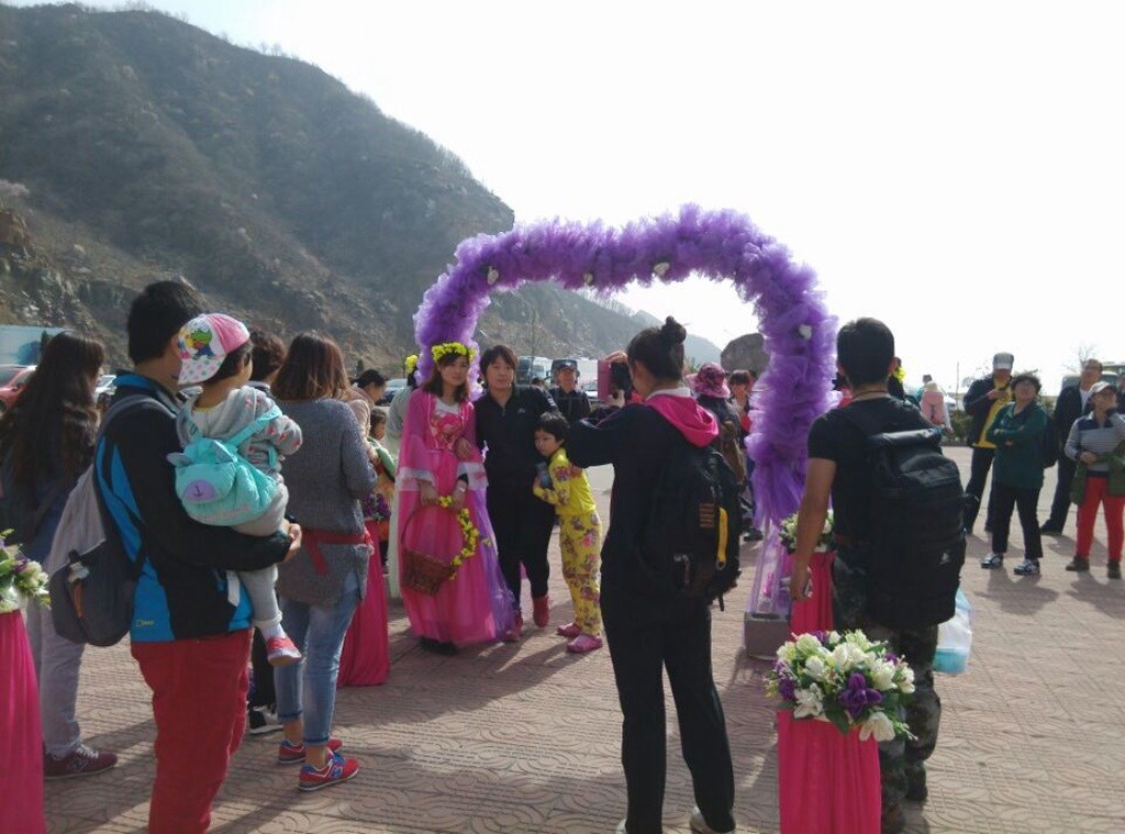 关山连翘黄花节迎来首个小高峰