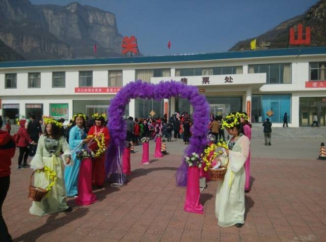 关山连翘黄花节迎来首个小高峰