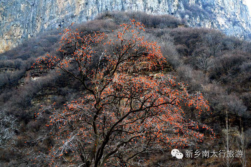 冬日九莲山亦醉人