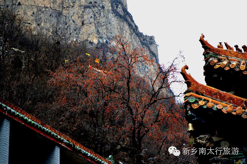 冬日九莲山亦醉人