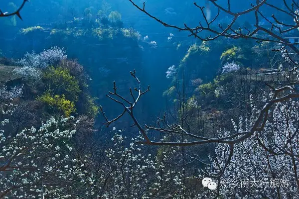 美丽女人节 十全十美游关山