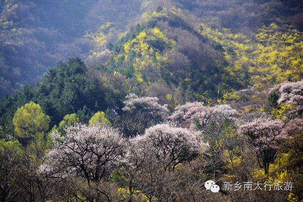 美丽女人节 十全十美游关山