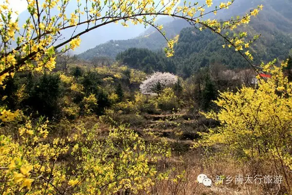 美丽女人节 十全十美游关山