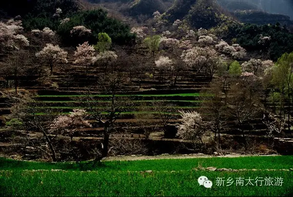 美丽女人节 十全十美游关山