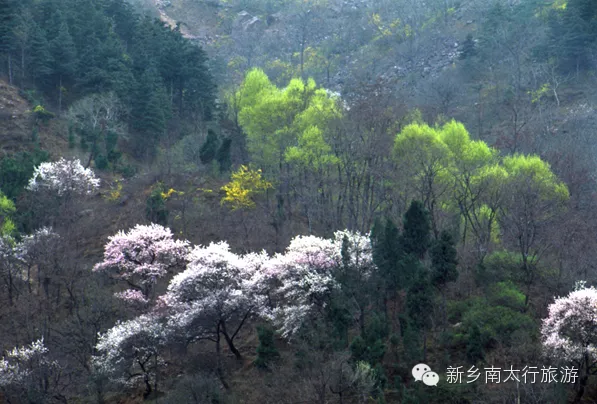 美丽女人节 十全十美游关山