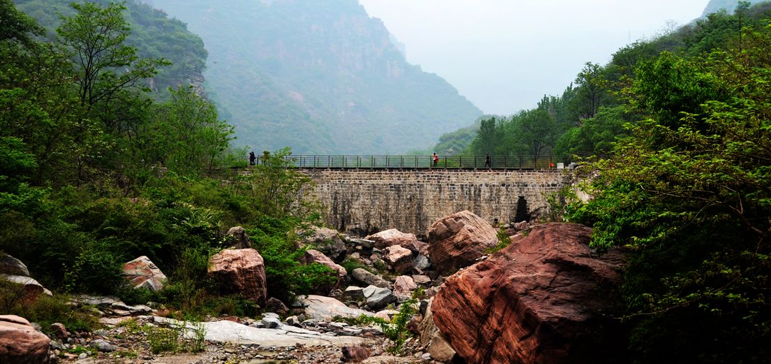 空谷幽兰处 独寻一片静