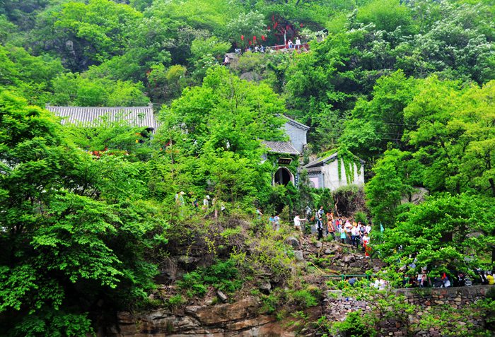 空谷幽兰处 独寻一片静