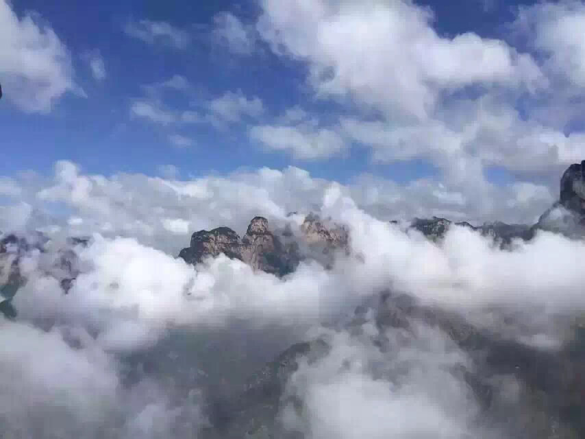 空谷幽兰处 独寻一片静