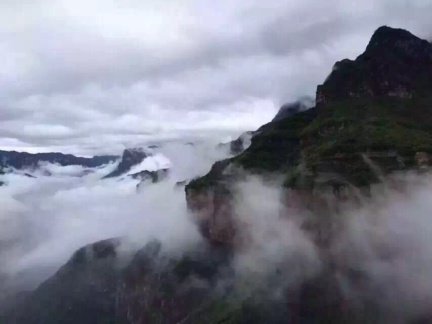 空谷幽兰处 独寻一片静