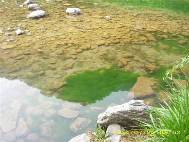 夏日八里沟风景美如画