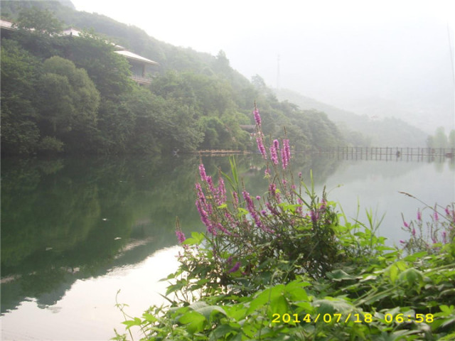 夏日八里沟风景美如画