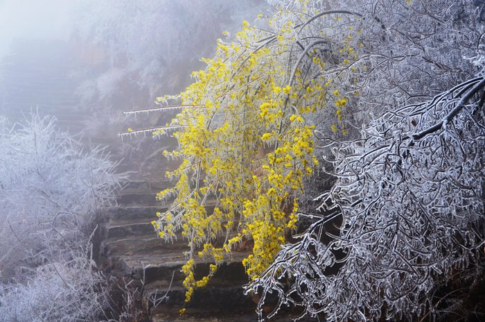 醉了，醉了，在南太行的山巅之上
