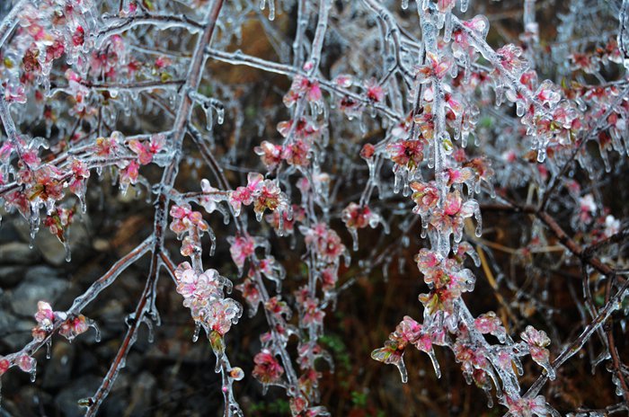 醉了，醉了，在南太行的山巅之上