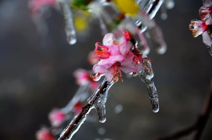 醉了，醉了，在南太行的山巅之上
