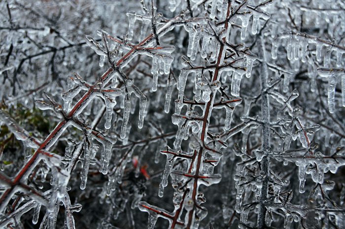 清明时节雨纷纷 南太行旅游请放心