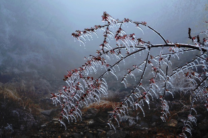 醉了，醉了，在南太行的山巅之上