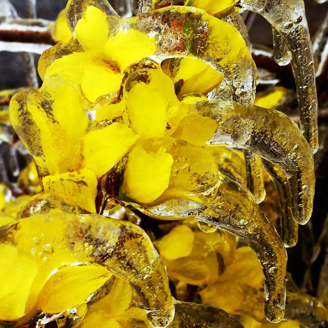 醉了，醉了，在南太行的山巅之上