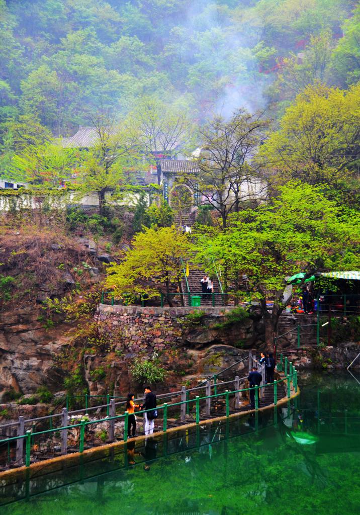 八里沟景区迎来郑州大学留学生观光团
