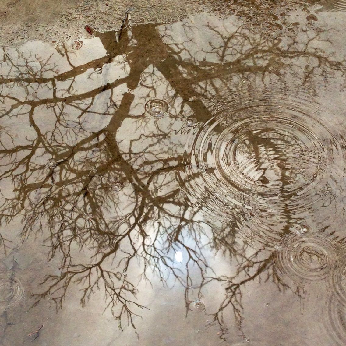 早春三月阳春雪 关山十里不同天