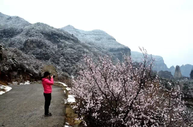 早春三月阳春雪 关山十里不同天