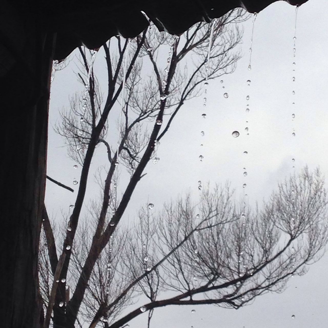 早春三月阳春雪 关山十里不同天