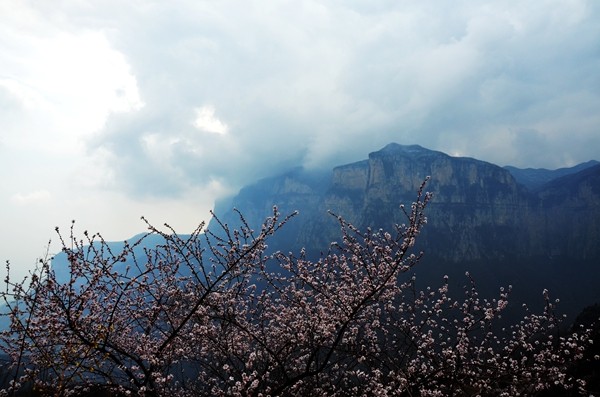 早春三月阳春雪 关山十里不同天