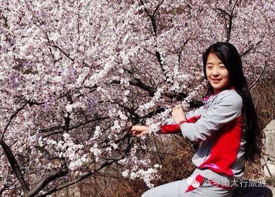 春暖花开，我和秋沟有个约“惠”