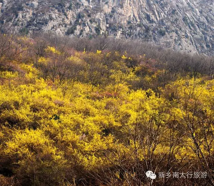 回头看，2014南太行都干了些啥！
