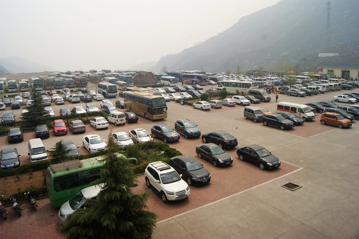 阳春三月，正是花开好时节。