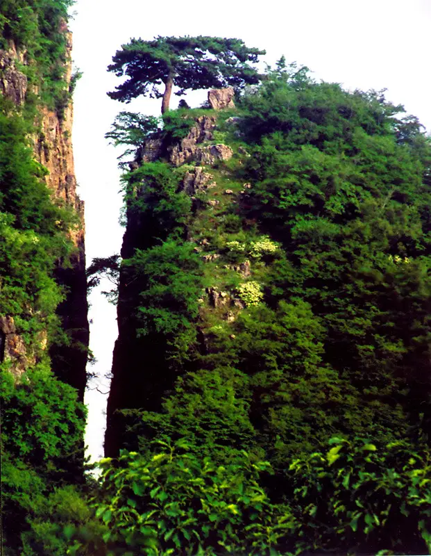 致南太行旅游年卡---那一场说走就走的旅行
