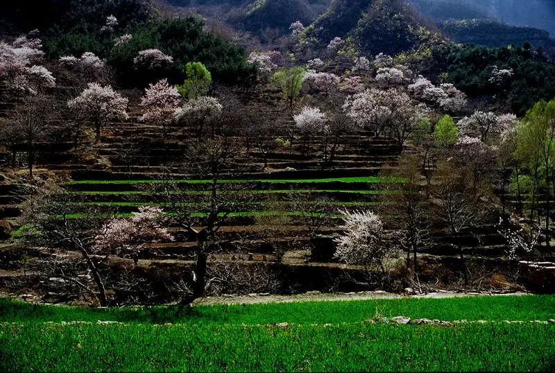 致南太行旅游年卡---那一场说走就走的旅行