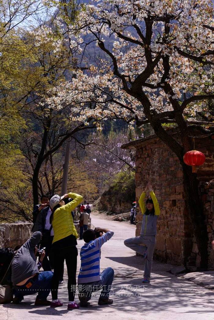 摄影师镜头里的南太行